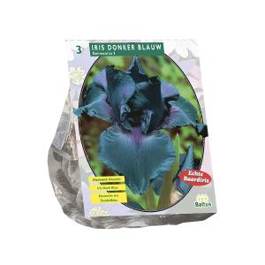 Baltus Iris Germanica Donkerblauw bloembollen per 3 stuks